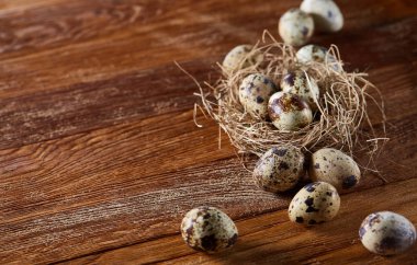 Seçici odak, yakın, kavramsal natürmort bıldırcın ile saman yuvada koyu ahşap arka plan üzerinde yumurta.