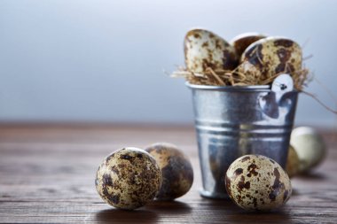Küçük dekoratif kova dolu Bıldırcın yumurta koyu ahşap masa, yakın çekim, seçici odak ile.