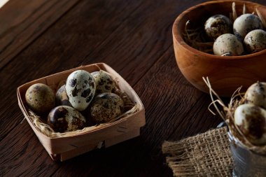 Bıldırcın yumurtası kova, kutu ve ıslak zeminde ahşap arka plan, seçici odak keten bir peçete ile rustik natürmort