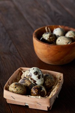 Bıldırcın yumurtası kova, kutu ve ıslak zeminde ahşap arka plan, seçici odak keten bir peçete ile rustik natürmort