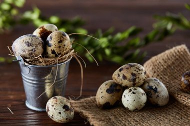 Bıldırcın yumurtası keten peçete ve Şimşir dal, seçici odak demet bahar bileşimi