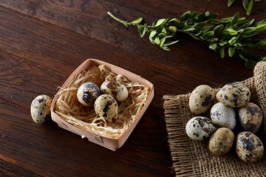 Yumurtalar bıldırcın kutusunun kompozisyon yumurta saf peçeteye Şimşir ahşap arka plan, üstten görünüm