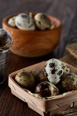 Bıldırcın yumurtası kova, kutu ve ıslak zeminde ahşap arka plan, seçici odak keten bir peçete ile rustik natürmort