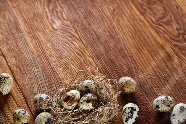 Bodegón conceptual con huevos de codorniz en nido de heno sobre fondo de madera oscura, enfoque selectivo — Foto de Stock