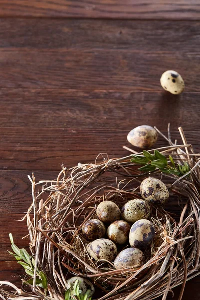 Willow yuva ile Bıldırcın yumurta koyu ahşap arka plan, üstten görünüm, yakın çekim, seçici odak — Stok fotoğraf