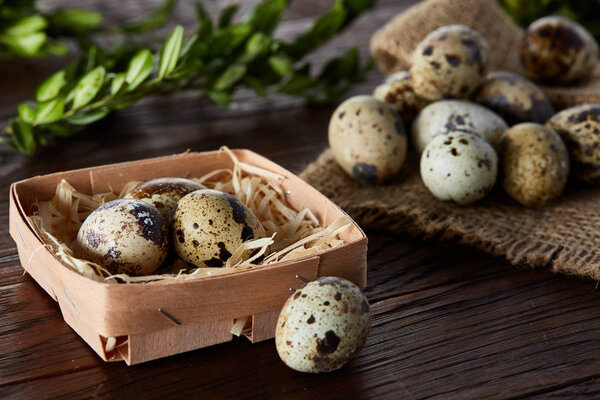 Состав яиц перепелиный ящик, яйца на домашней салфетке, дерево на деревянном фоне, вид сверху

