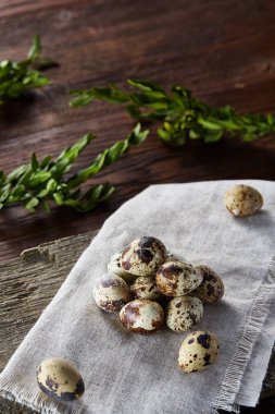 Piramit peçeteye Şimşir dalları ile düzenlenmiş bir ahşap masa, yakın çekim, seçici odak üzerinde bıldırcın yumurtası.