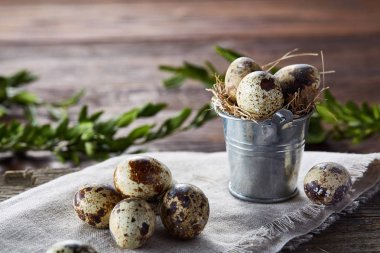 Bıldırcın yumurtası kova ve yumurta bir keten peçete ve Şimşir dalı, seçici odak üzerinde piramit bahar bileşimi