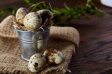 Bıldırcın yumurtası keten peçete ve Şimşir dal, seçici odak demet bahar bileşimi