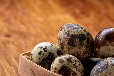 Bıldırcın yumurtası içinde bir rustik ahşap arka plan, üstten görünüm, seçici odak sille.