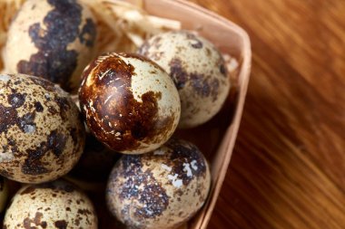 Bıldırcın yumurtası içinde bir rustik ahşap arka plan, üstten görünüm, seçici odak sille.