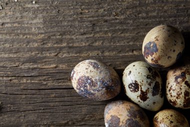Seçici odak eski ahşap panoları, boşluk, arka plan üzerinde benekli bıldırcın yumurtası düzenlenmiş.