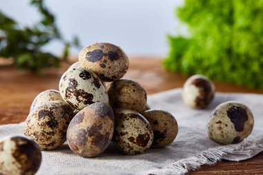 Piramit peçeteye düzenlenen bir ahşap masa, yakın çekim, seçici odak üzerinde bıldırcın yumurtası.