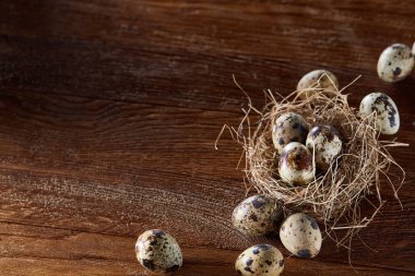 Seçici odak, yakın, kavramsal natürmort bıldırcın ile saman yuvada koyu ahşap arka plan üzerinde yumurta.