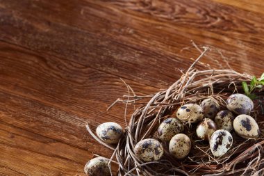 Willow yuva ile Bıldırcın yumurta koyu ahşap arka plan, üstten görünüm, yakın çekim, seçici odak