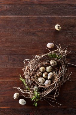 Willow yuva ile Bıldırcın yumurta koyu ahşap arka plan, üstten görünüm, yakın çekim, seçici odak