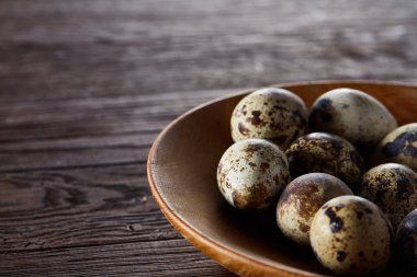 Bir koyu ahşap arka plan, üstten görünüm, yakın çekim bir ahşap kase taze bıldırcın yumurtası