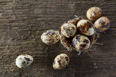 Küçük dekoratif kova dolu Bıldırcın yumurta koyu ahşap masa, yakın çekim, seçici odak ile.