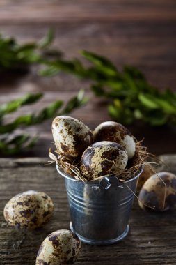 Bıldırcın yumurtası kova ve yumurta bir keten peçete ve Şimşir dalı, seçici odak üzerinde piramit bahar bileşimi