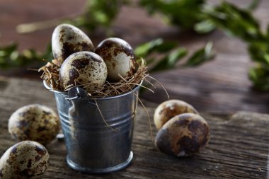 Bıldırcın yumurtası kova ve yumurta bir keten peçete ve Şimşir dalı, seçici odak üzerinde piramit bahar bileşimi