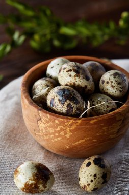 Kırsal natürmort kase yumurta bıldırcın tam ile yumurta saf peçeteye Şimşir ahşap arka plan, üstten görünüm