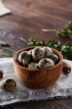 Kırsal natürmort kase yumurta bıldırcın tam ile yumurta saf peçeteye Şimşir ahşap arka plan, üstten görünüm