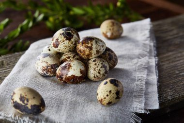 Piramit peçeteye Şimşir dalları ile düzenlenmiş bir ahşap masa, yakın çekim, seçici odak üzerinde bıldırcın yumurtası.