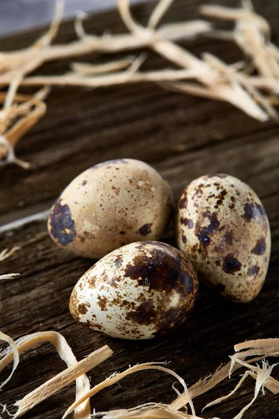 Bodegón conceptual con huevos de codorniz en nido de heno sobre fondo de madera oscura, enfoque selectivo —  Fotos de Stock
