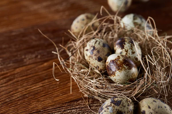 Bodegón conceptual con huevos de codorniz en nido de heno sobre fondo de madera oscura, enfoque selectivo — Foto de Stock