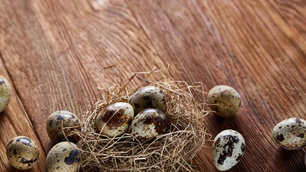 Bodegón conceptual con huevos de codorniz en nido de heno sobre fondo de madera oscura, enfoque selectivo — Foto de Stock