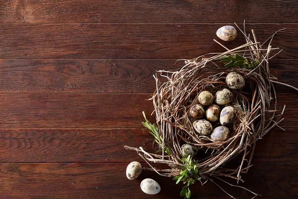Willow fészket fürj tojás, sötét fából készült háttér, felülnézet, zár-megjelöl, szelektív összpontosít — Stock Fotó