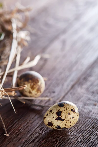 Willow boet med vaktel ägg på mörk trä bakgrund, ovanifrån, närbild, selektiv fokus — Stockfoto