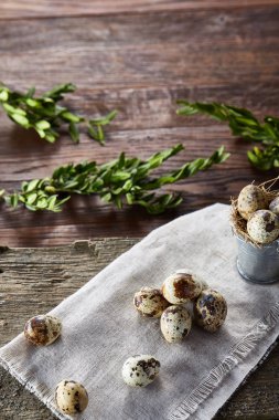 Piramit peçeteye Şimşir dalları ile düzenlenmiş bir ahşap masa, yakın çekim, seçici odak üzerinde bıldırcın yumurtası.