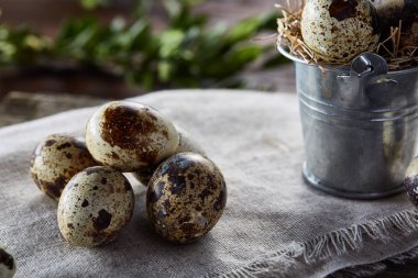 Piramit peçeteye Şimşir dalları ile düzenlenmiş bir ahşap masa, yakın çekim, seçici odak üzerinde bıldırcın yumurtası.