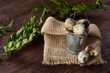 Bıldırcın yumurtası keten peçete ve Şimşir dal, seçici odak demet bahar bileşimi