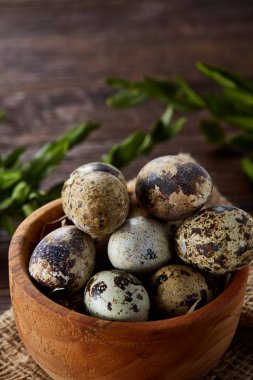 Kırsal natürmort kase yumurta bıldırcın tam ile yumurta saf peçeteye Şimşir ahşap arka plan, üstten görünüm