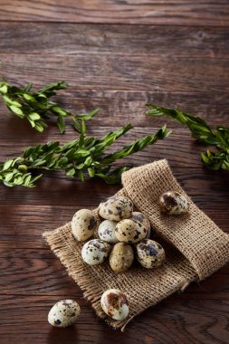 Piramit peçeteye Şimşir dalları ile düzenlenmiş bir ahşap masa, yakın çekim, seçici odak üzerinde bıldırcın yumurtası.