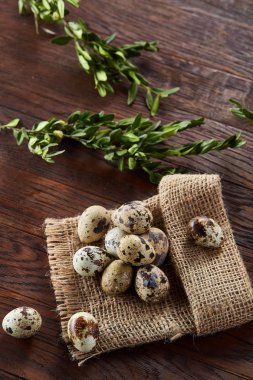 Piramit peçeteye Şimşir dalları ile düzenlenmiş bir ahşap masa, yakın çekim, seçici odak üzerinde bıldırcın yumurtası.