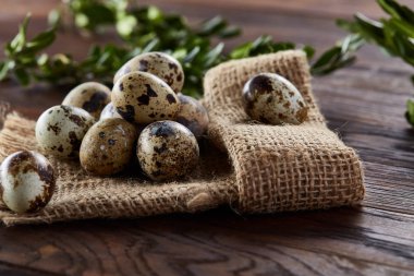 Piramit peçeteye Şimşir dalları ile düzenlenmiş bir ahşap masa, yakın çekim, seçici odak üzerinde bıldırcın yumurtası.