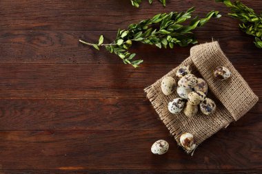 Piramit peçeteye Şimşir dalları ile düzenlenmiş bir ahşap masa, yakın çekim, seçici odak üzerinde bıldırcın yumurtası.