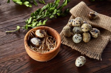 Kırsal natürmort kase yumurta bıldırcın tam ile yumurta saf peçeteye Şimşir ahşap arka plan, üstten görünüm