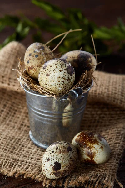 Spring composition of quail eggs in bucket on a linen napkin and boxwood branch, selective focus — Stock Photo, Image