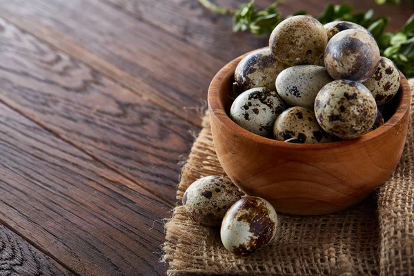 Landelijke Stilleven met kom vol met kwartel eieren, eieren op een homespun servet, buxus op houten achtergrond, bovenaanzicht — Stockfoto