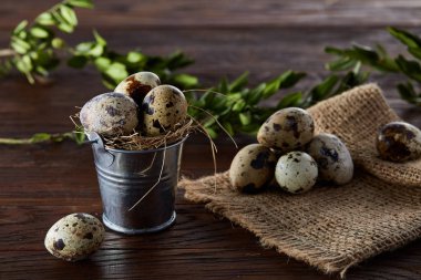 Bıldırcın yumurtası keten peçete ve Şimşir dal, seçici odak demet bahar bileşimi