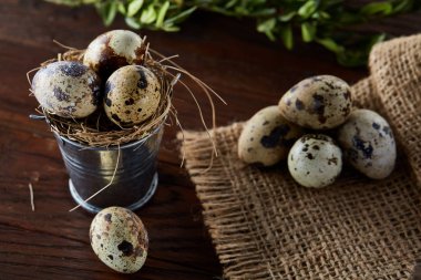 Bıldırcın yumurtası keten peçete ve Şimşir dal, seçici odak demet bahar bileşimi