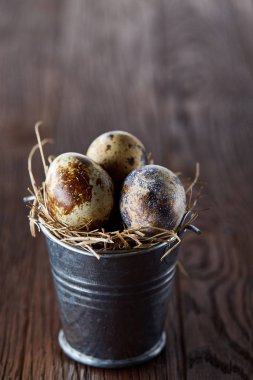 Bıldırcın yumurtası keten peçete ve Şimşir dal, seçici odak demet bahar bileşimi