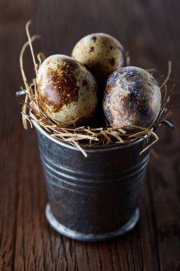 Bıldırcın yumurtası keten peçete ve Şimşir dal, seçici odak demet bahar bileşimi