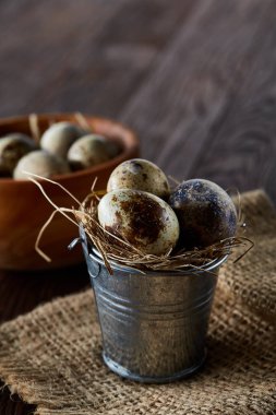 Bıldırcın yumurtası kova, kutu ve ıslak zeminde ahşap arka plan, seçici odak keten bir peçete ile rustik natürmort