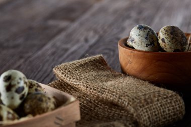 Bıldırcın yumurtası kova, kutu ve ıslak zeminde ahşap arka plan, seçici odak keten bir peçete ile rustik natürmort