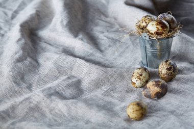 Bıldırcın yumurtası dekoratif bir kova ve bazı yumurta bir saf masa örtüsü, üstten görünüm, yakın çekim